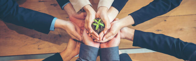 A culture of sustainability: How small businesses can make an impact