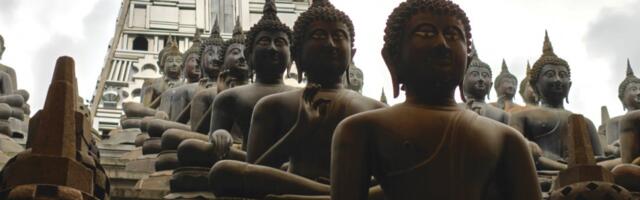 Here are some OnePlus 13 camera samples from Sri Lanka