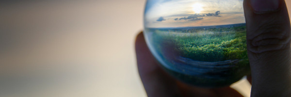 4 sustainable industries where founders and VCs can see green by going green
