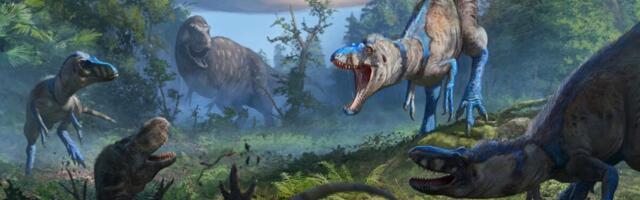 Meet Nanotyrannus, a Tiny Tyrannosaur Previously Mistaken for a Teenage T. Rex