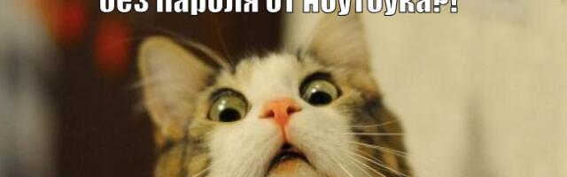 Как защитить ключи LUKS с помощью Рутокен ЭЦП 3.0 и алгоритмов ГОСТ Р 34.10-2012. Часть 1