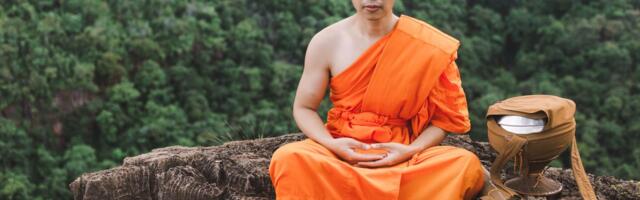 Study of Buddhist Monks Finds Meditation Alters Brain Activity