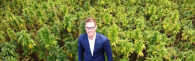 German startup Signature Products lands €800K from local authority for hemp protein value chain