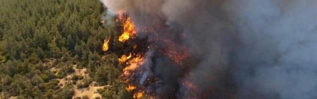 Wildfire Risk is Increasing. Rising Insurance Costs Are Pushing Hotels to Prepare