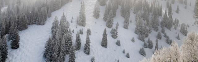 $2 million “wedding nightmare” in Aspen due to audio malfunction, lawsuit says