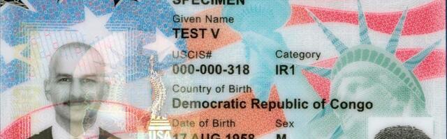 What smart people are saying about the new green card crackdown