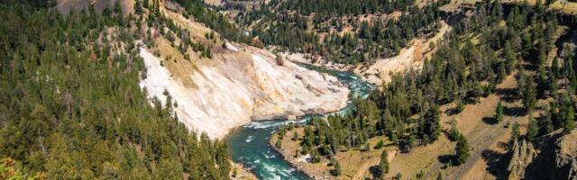In 1926, the U.S. government killed Yellowstone’s last wolf pack — and spent the next 69 years watching the park quietly fall apart