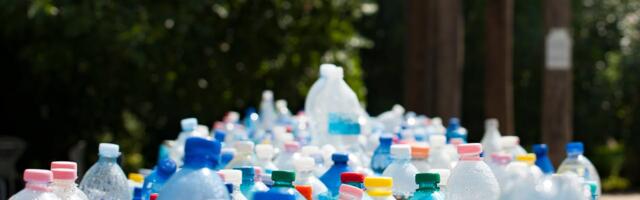 Baby Frog ECO: Pioneering Sustainable Tableware for a Plastic-Free Future