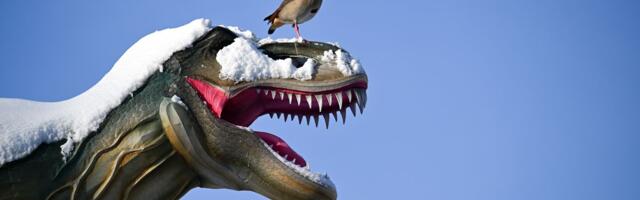 Are we in the middle of an extinction panic?