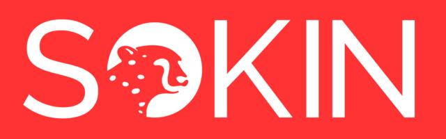 Morgan Stanley-backed payments firm Sokin expands to EU via acquisition