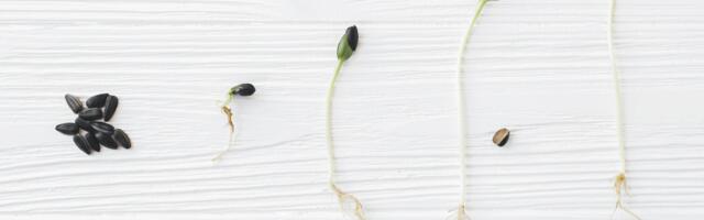 Crypto for Advisors: Crypto — No Longer the Wild West?