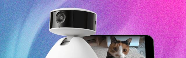 Petlibro Scout Smart Camera: Filled With Both Features and Kinks