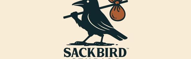 Sackbird Studios emerges from the Xbox layoffs