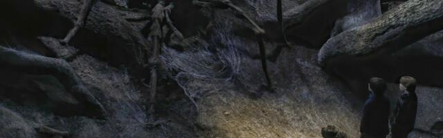 Самая большая в мире сеть: как 110 тысяч пауков двух видов живут дружной семьей без солнца и света