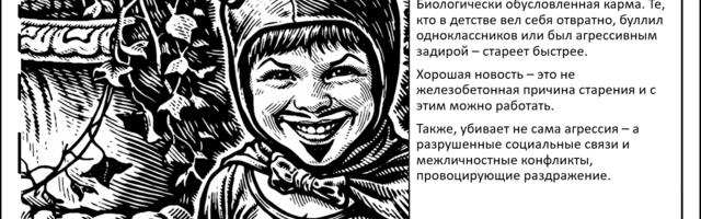 Агрессивное поведение ускоряет старение