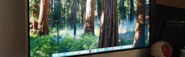 Apple Pro Display XDR monitor review: the best Mac monitor will cost you