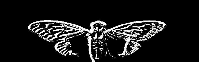 Вероятный автор загадки Cicada 3301