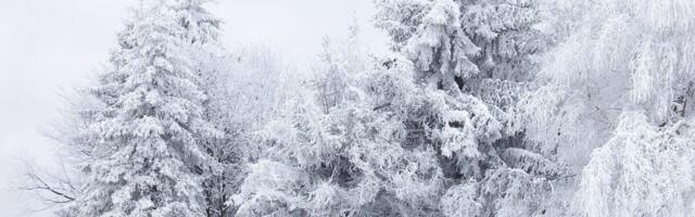 Dreaming of a White Christmas? Don’t Hold Your Breath
