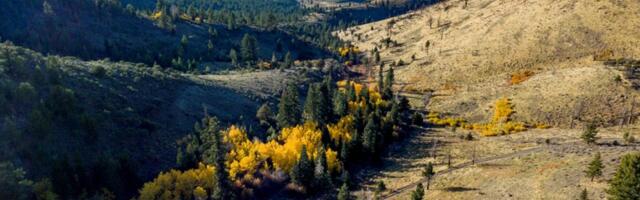 Tribe buys 10,000 acres north of Lake Tahoe from city of Santa Clara in historic land deal