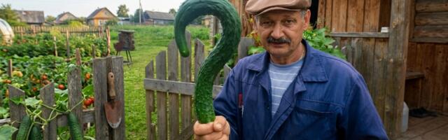 Теперь silero-tts v5 на русском языке умеет задавать вопросы