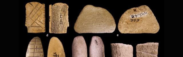 The original casino? How 12,000-year-old Native American dice could upend modern tribal gambling debates