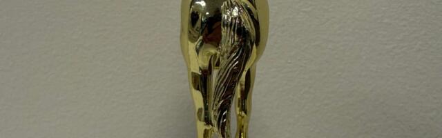 Behold, the Elon Musk jackass trophy