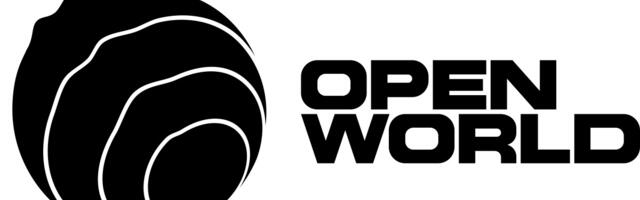 Open World reveals Game Dev division, offering market strategies and support