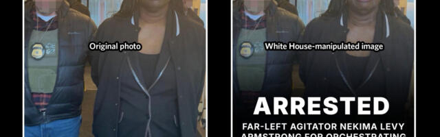 White House alters arrest photo of ICE protester, says "the memes will continue"