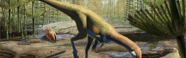 230 Million-Year-Old Fossil From Wyoming Challenges Dinosaur Origin Theories