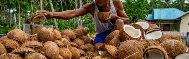 Plant burgers are way better for the planet than beef, but these 2 ingredients threaten tropical ecosystems