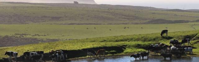 Unbeknownst to Point Reyes ranchers, $10 million in restoration funds lined up by Nature Conservancy long before landmark deal