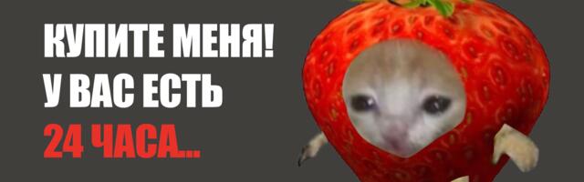 Простым товарам ― простые решения. Отказались от гламура и продали в 2 раза больше букетов из клубники