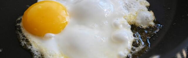 BCG consultant behind 'AI brain fry' study says she's 'pessimistic' humans can overcome it anytime soon