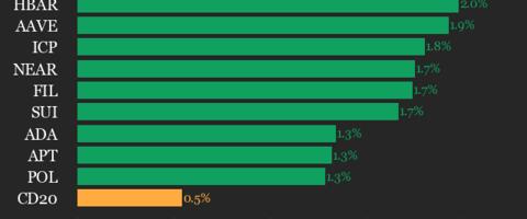 CoinDesk 20 Performance Update: Polkadot (DOT) Gains 2.1% as Index Moves Higher