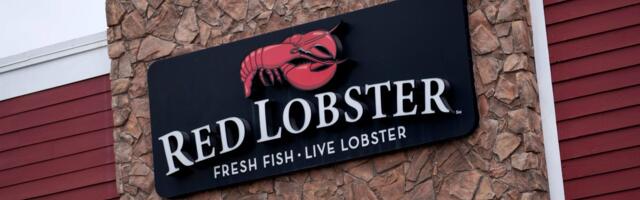 Red Lobster brings back the 'endless shrimp' deal that cost them millions