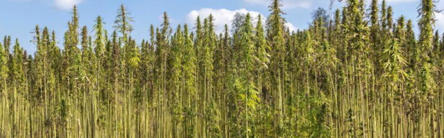 Today in funding: Kaloom, Bast Fibre Technologies, Arcturus, ChopValue, StoryTap, OpenUnit