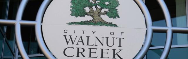 Walnut Creek: Would-be burglars crash Land Rover through Louis Vuitton store