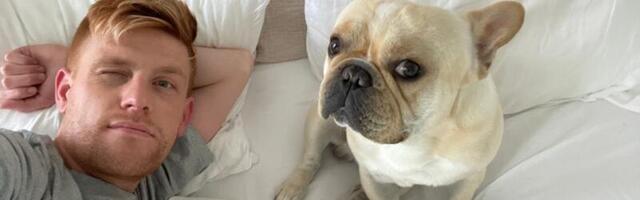 Bay Area man claims his beloved French bulldog, moved from first class to coach, died from airline’s negligence