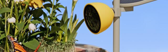 Bird Buddy’s new nature camera attracts and records more than just birds