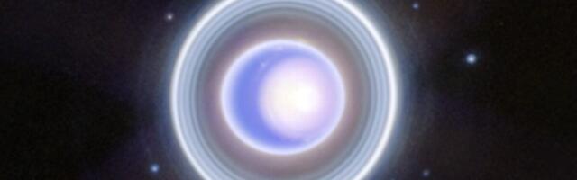 Scientists Probed the Rings Around Uranus to Find Out How They Got There