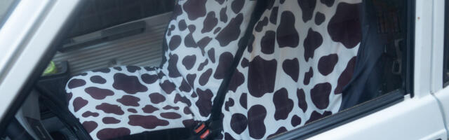 Can Seat Covers Affect Your Airbags? Here's What You Need To Know