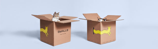 Direct-to-consumer cat food startup Smalls raises $9M