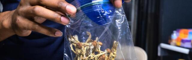 California could legalize psychedelic therapy after rejecting ‘magic mushroom’ decriminalization