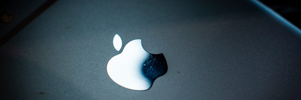 Daily Crunch: Apple seems pretty interested in search