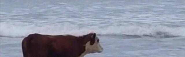 Расширение политик фильтрации трафика в Cilium