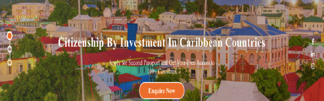 Flyingcolour Immigration Services – Global immigration consultant