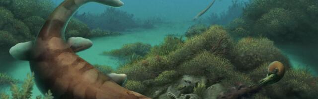 Nubby-Toothed Sea Monster Once Prowled Texas Seas, Recent Fossil Discovery Suggests