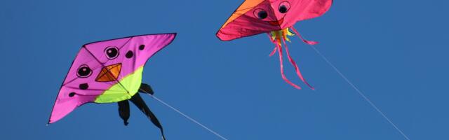 Kite Raises $18M to Bridge Stablecoin Payments and Autonomous Agents