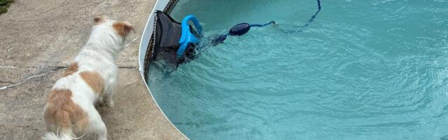 I Test Robotic Pool Cleaners for Work. This Is the One I Use in My Own Pool