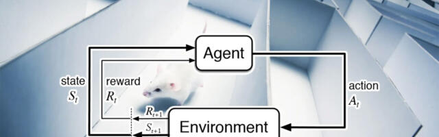 Everything you need to know about model-free and model-based reinforcement learning